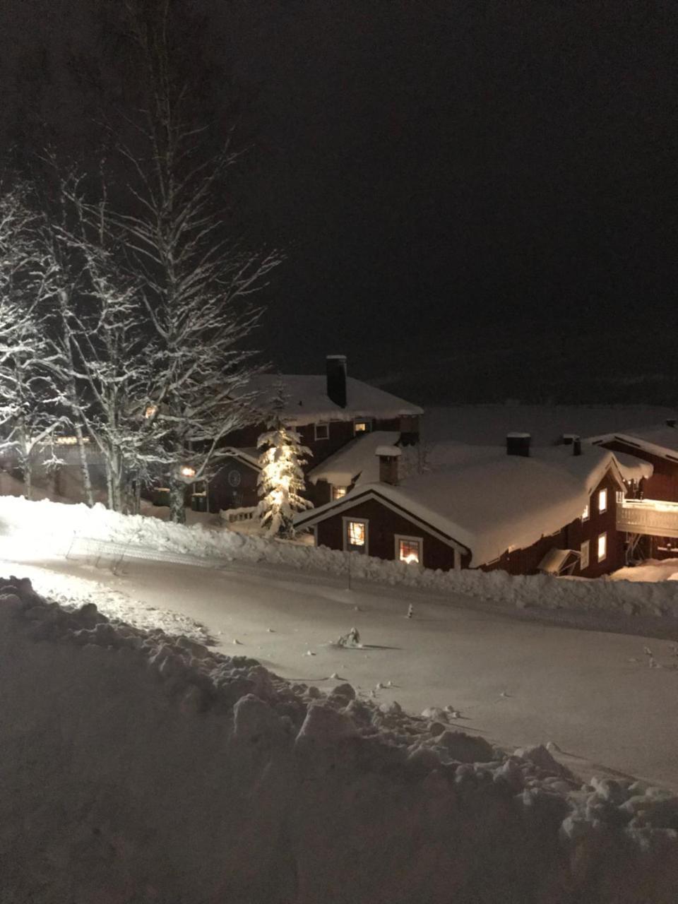 Hotell Karolinen Are Bagian luar foto